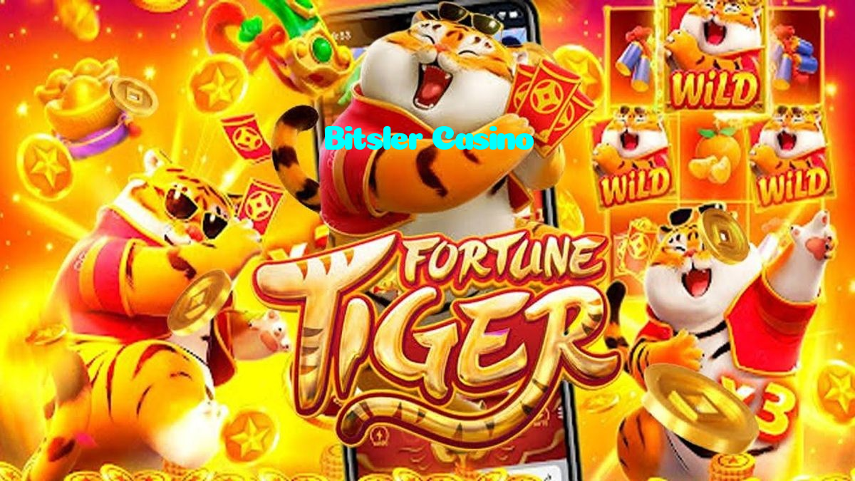 available types of Bitsler Casino bet including pre-match live express and system bets